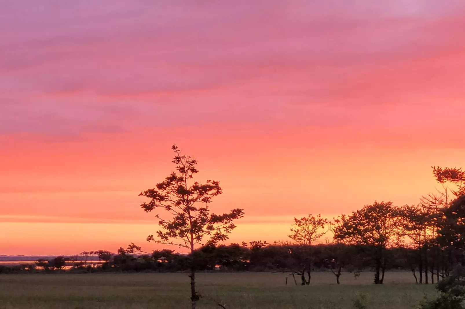 Maison de vacances pour 8 a Oksbøl-Non tagué