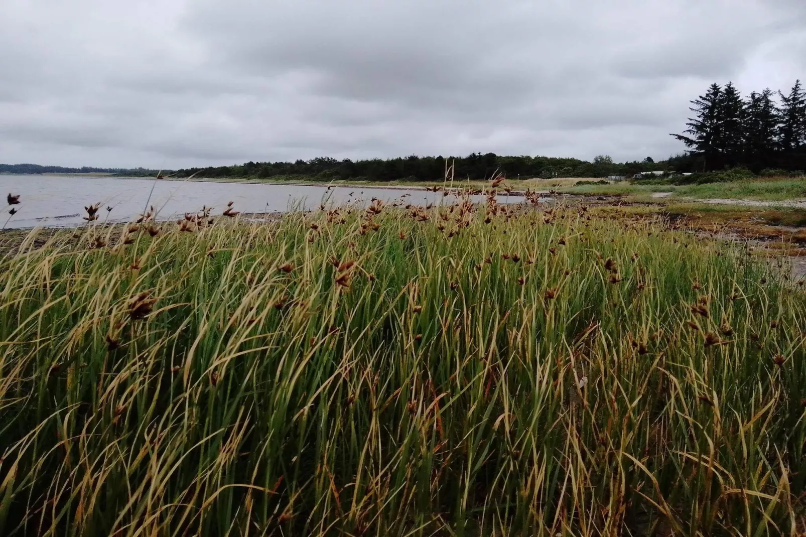 6 person holiday home in Farsø-By Traum-Water view