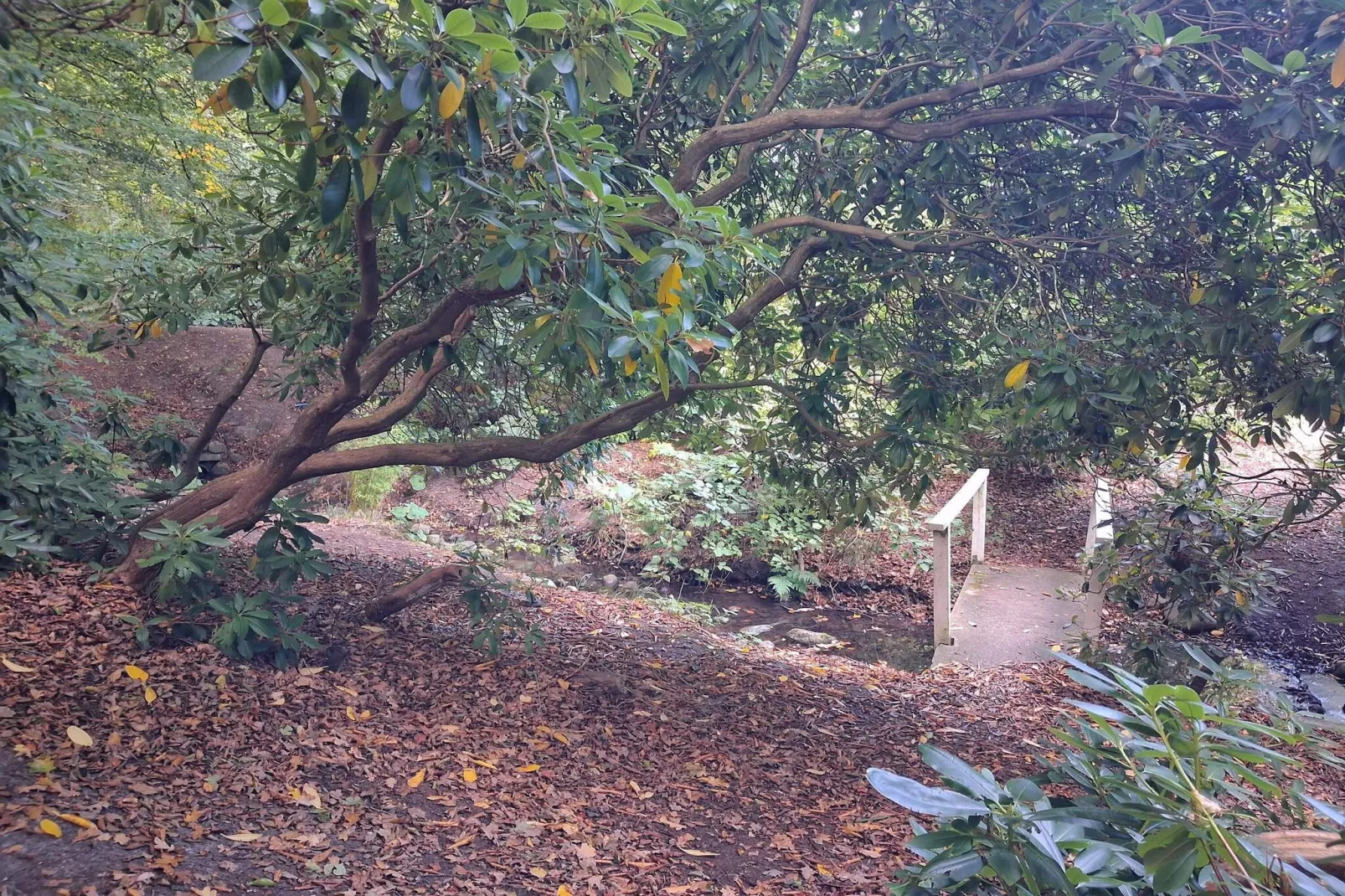 Maison de vacances pour 5 a Sæby-By Traum-Non tagué