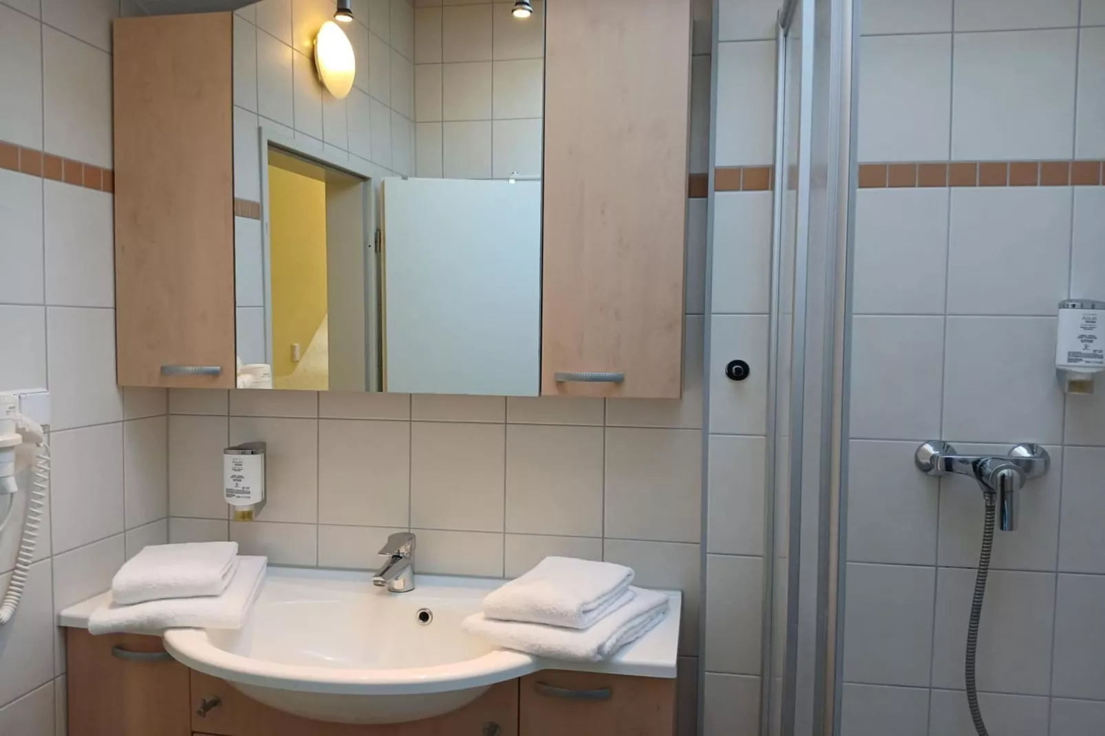 Eisvogel Classic 301-Bathroom