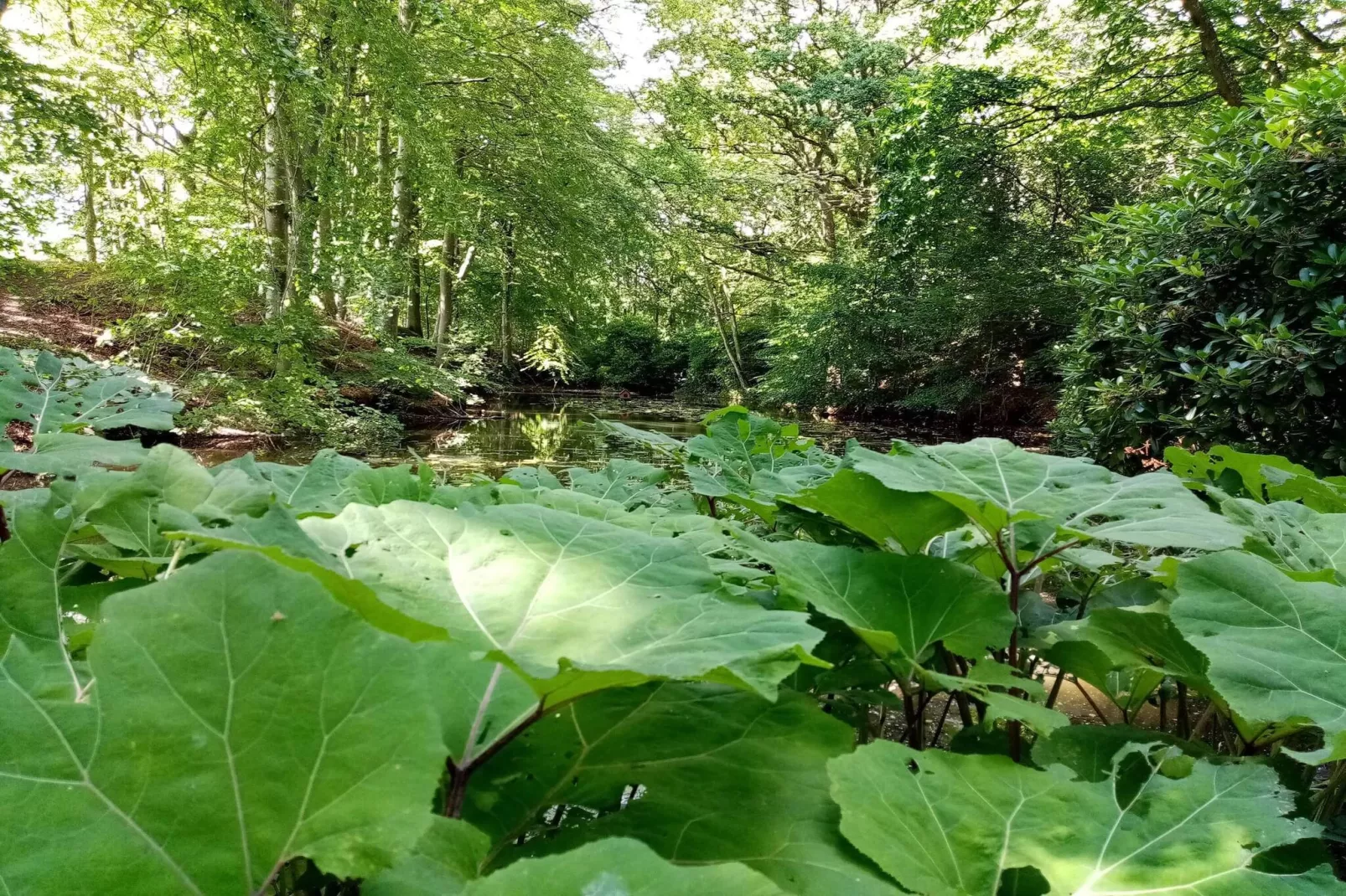 Maison de vacances pour 5 a Sæby-By Traum-Non tagué