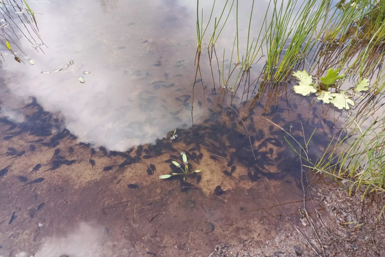 Gemutliche Blockhutte Ruckzugsort-By Traum-Wasserblick