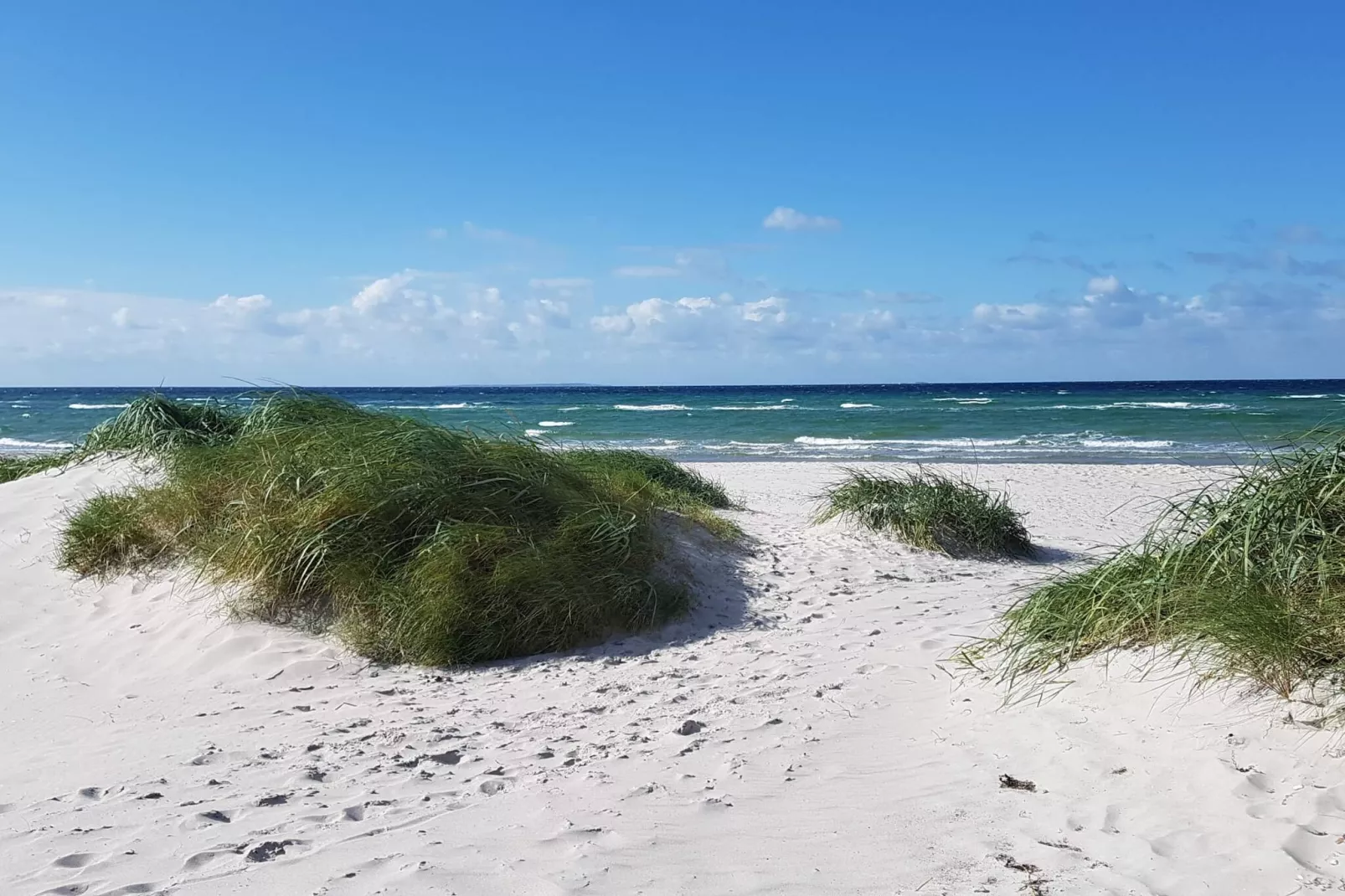 14 person holiday home in Ebeltoft-Water view