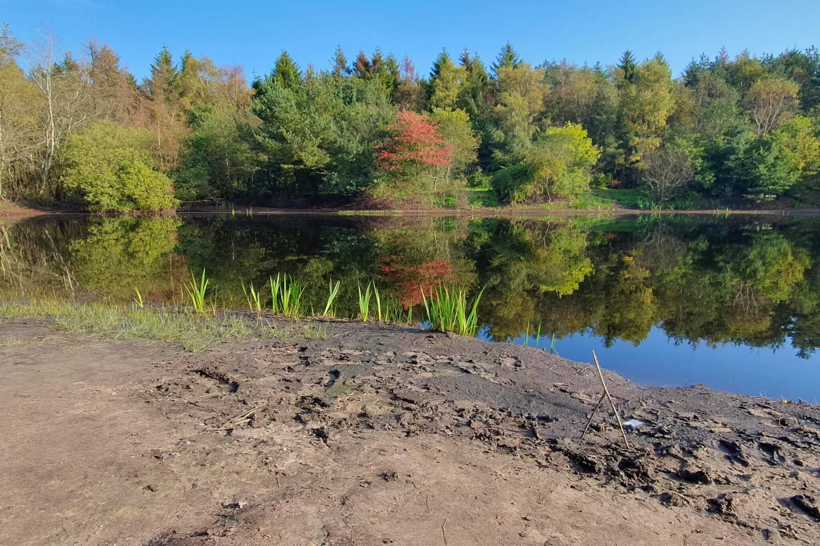 Gemutliche Blockhutte Ruckzugsort-By Traum-Wasserblick