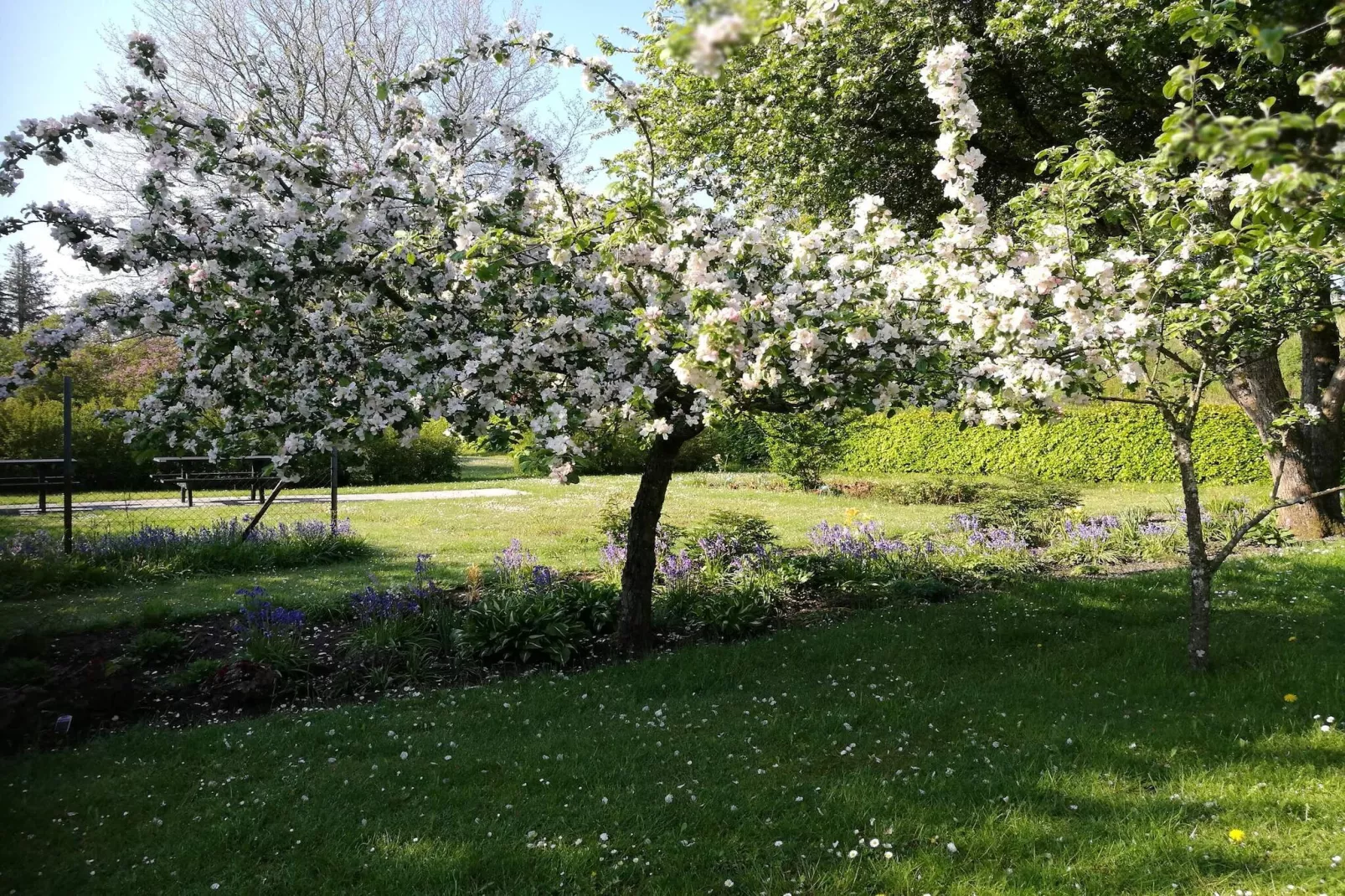 Maison de vacances pour 5 a Sæby-By Traum-Non tagué