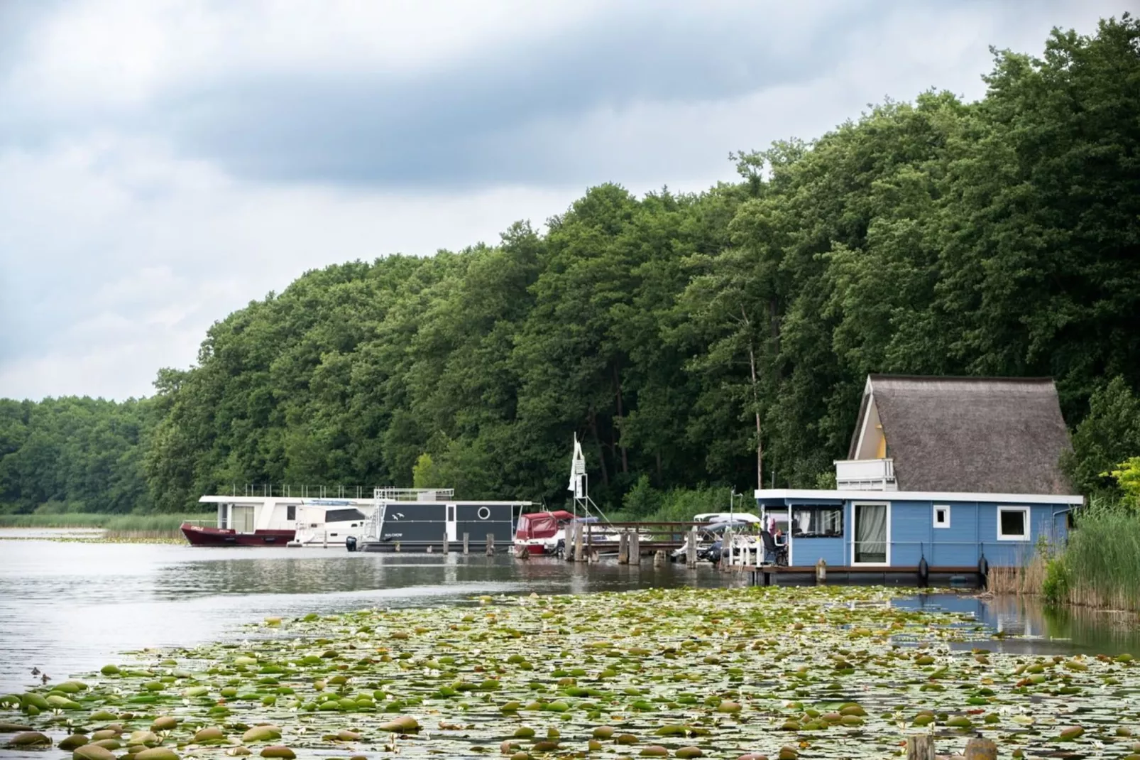 Eisvogel Classic 303-Areas within 1km in summer