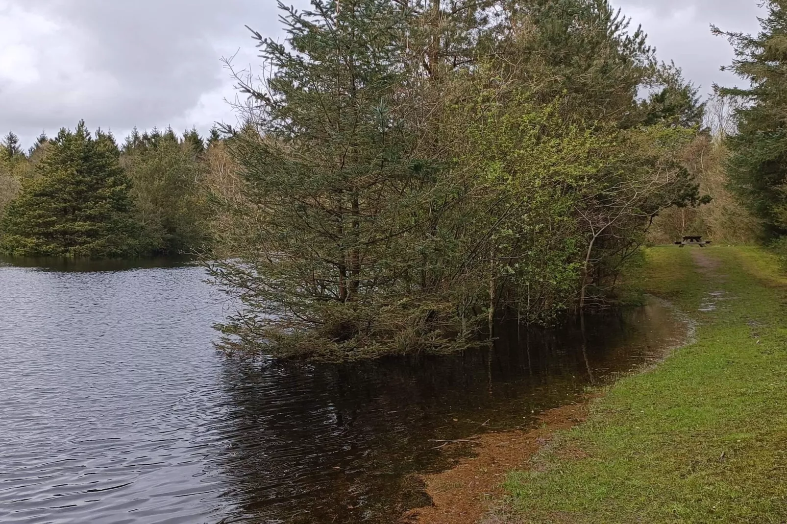 Maison de vacances pour 8 a Oksbøl-Vue sur l'eau