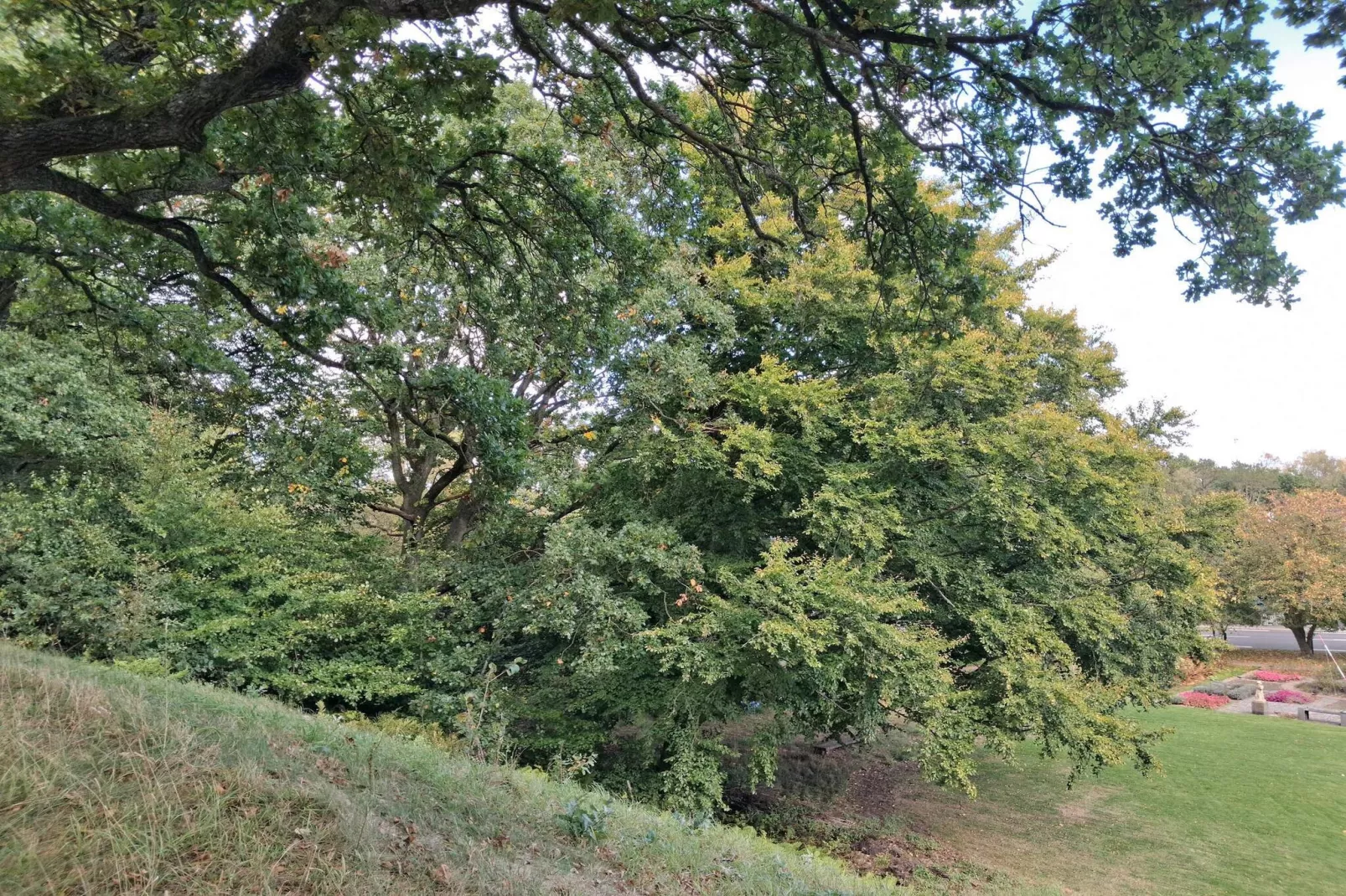 Maison de vacances pour 5 a Sæby-By Traum-Non tagué