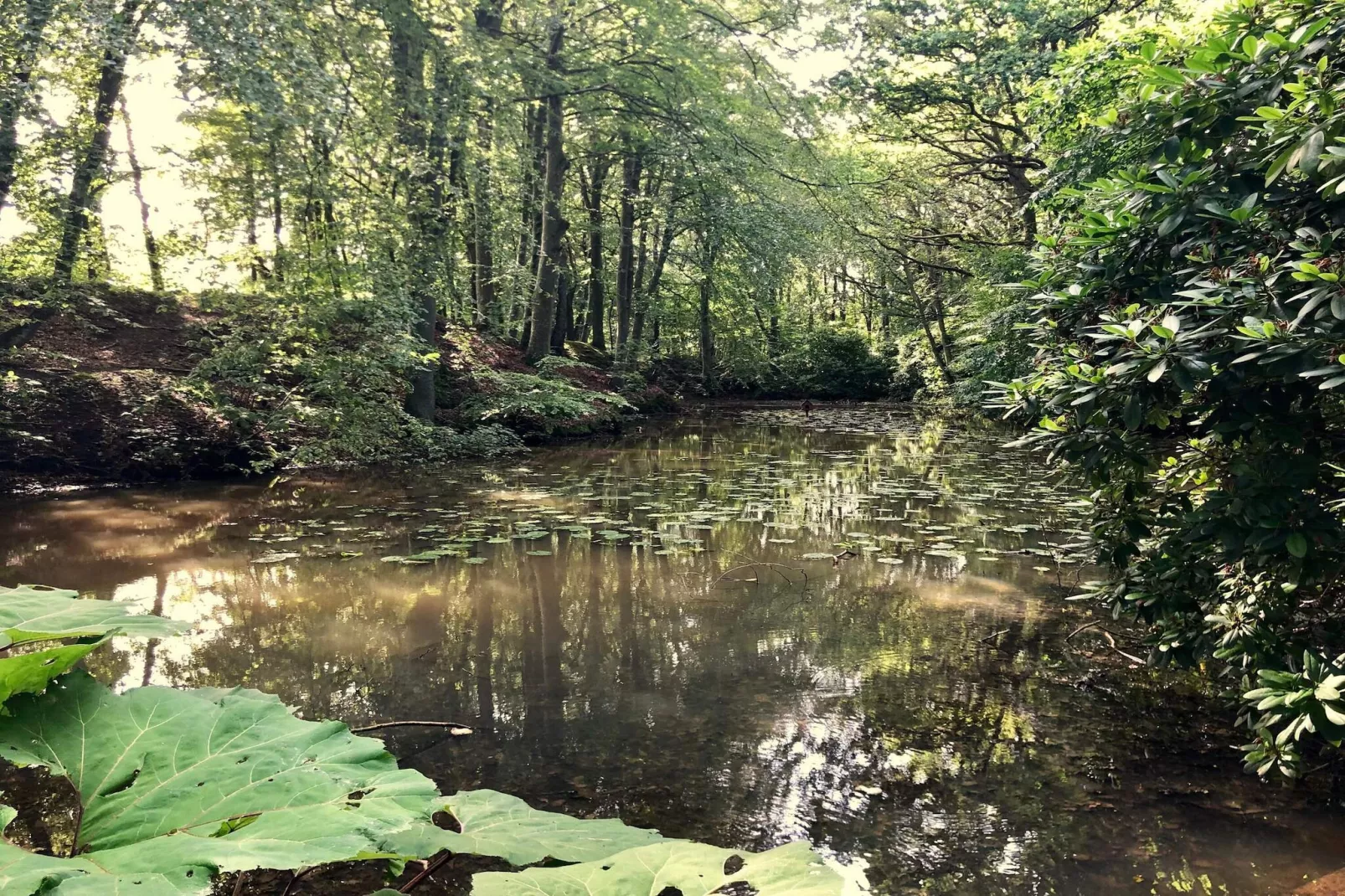 5 Personen Ferienhaus in Sæby-By Traum