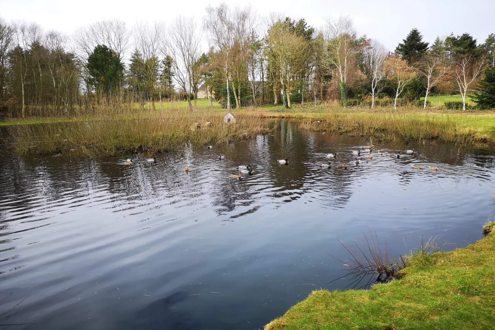 Maison de vacances pour 8 a Oksbøl-Vue sur l'eau