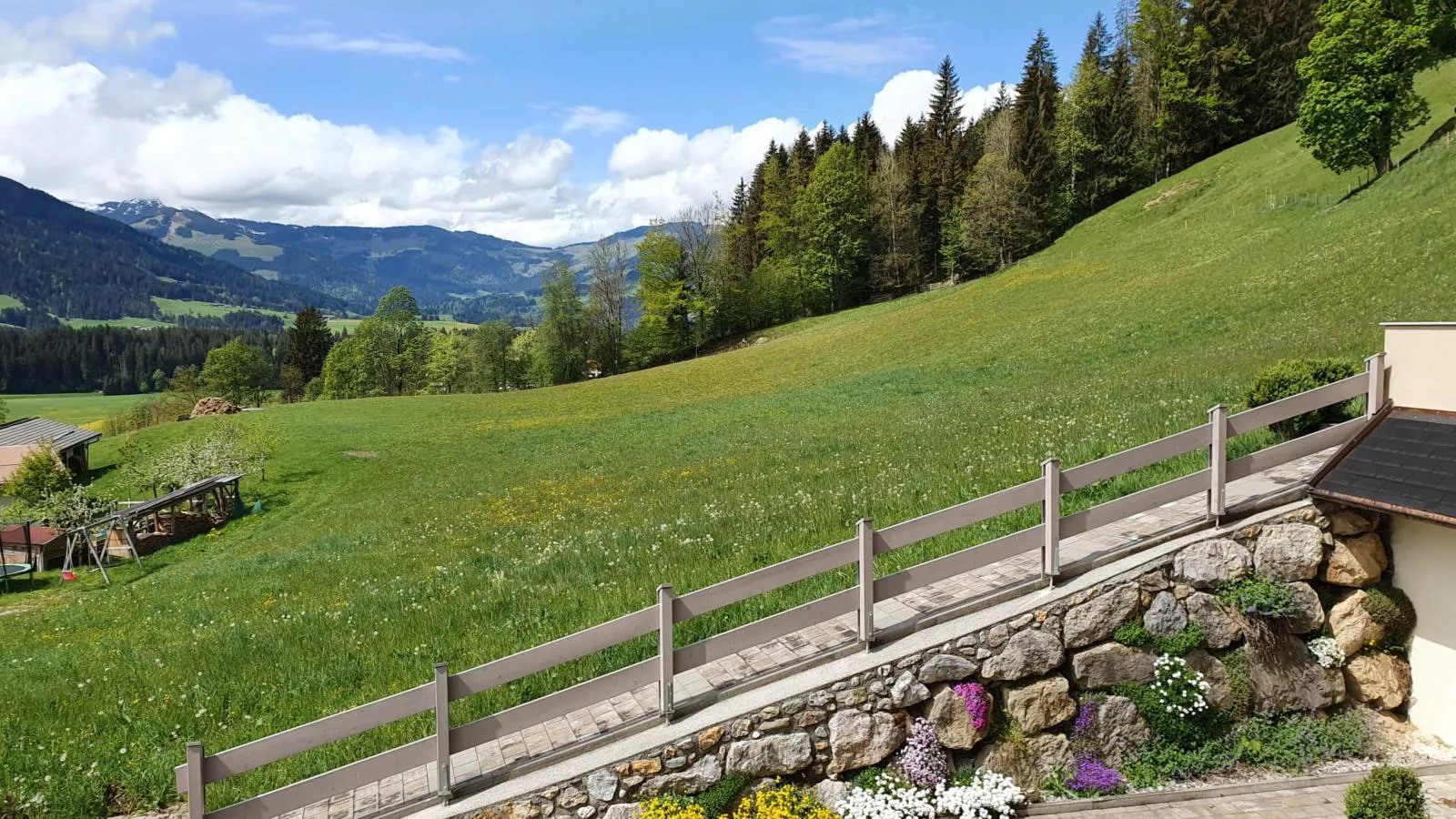 Lichtblick-Aussicht Sommer