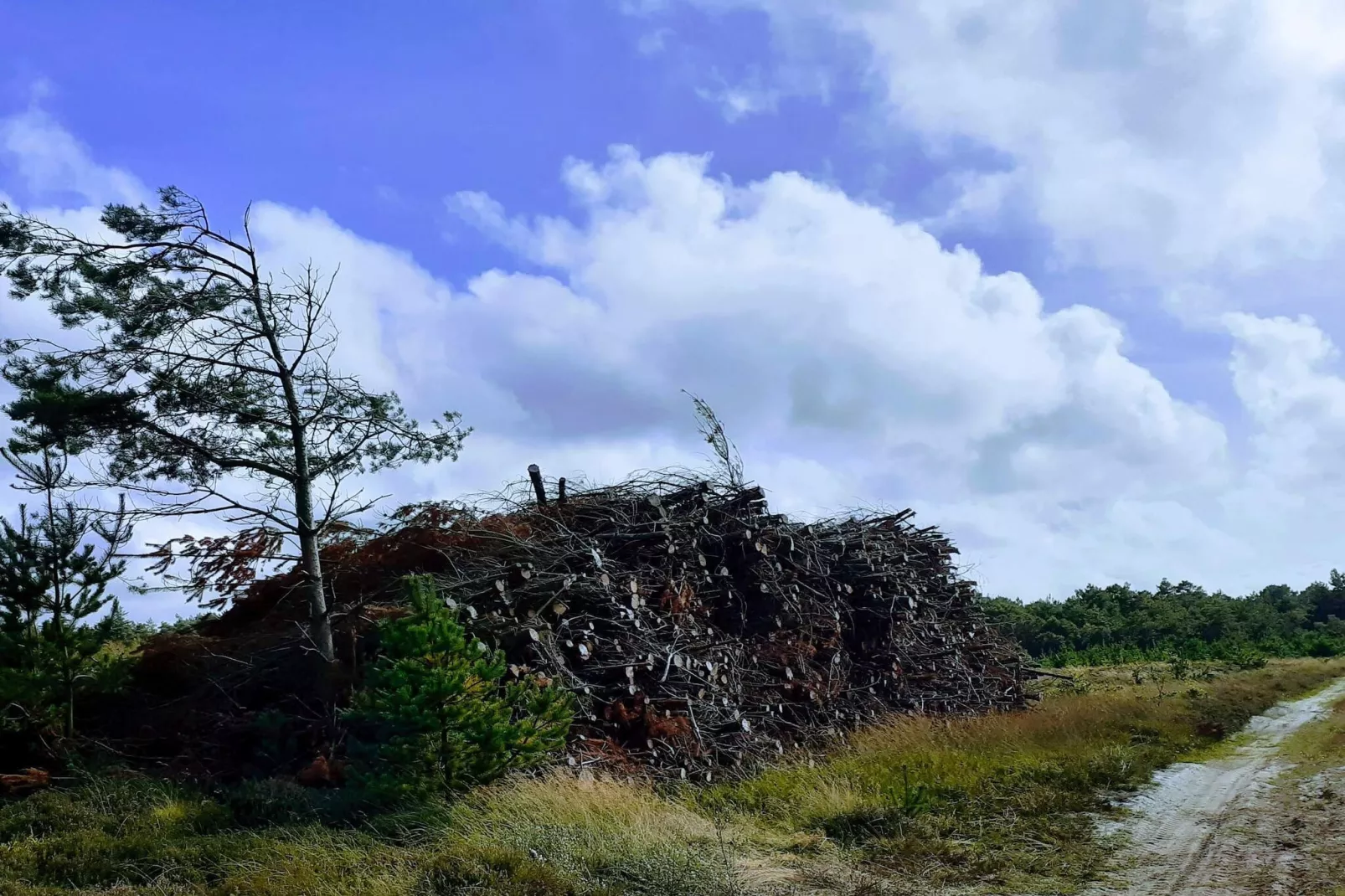 Maison de vacances pour 8 a Oksbøl-Vue sur l'eau