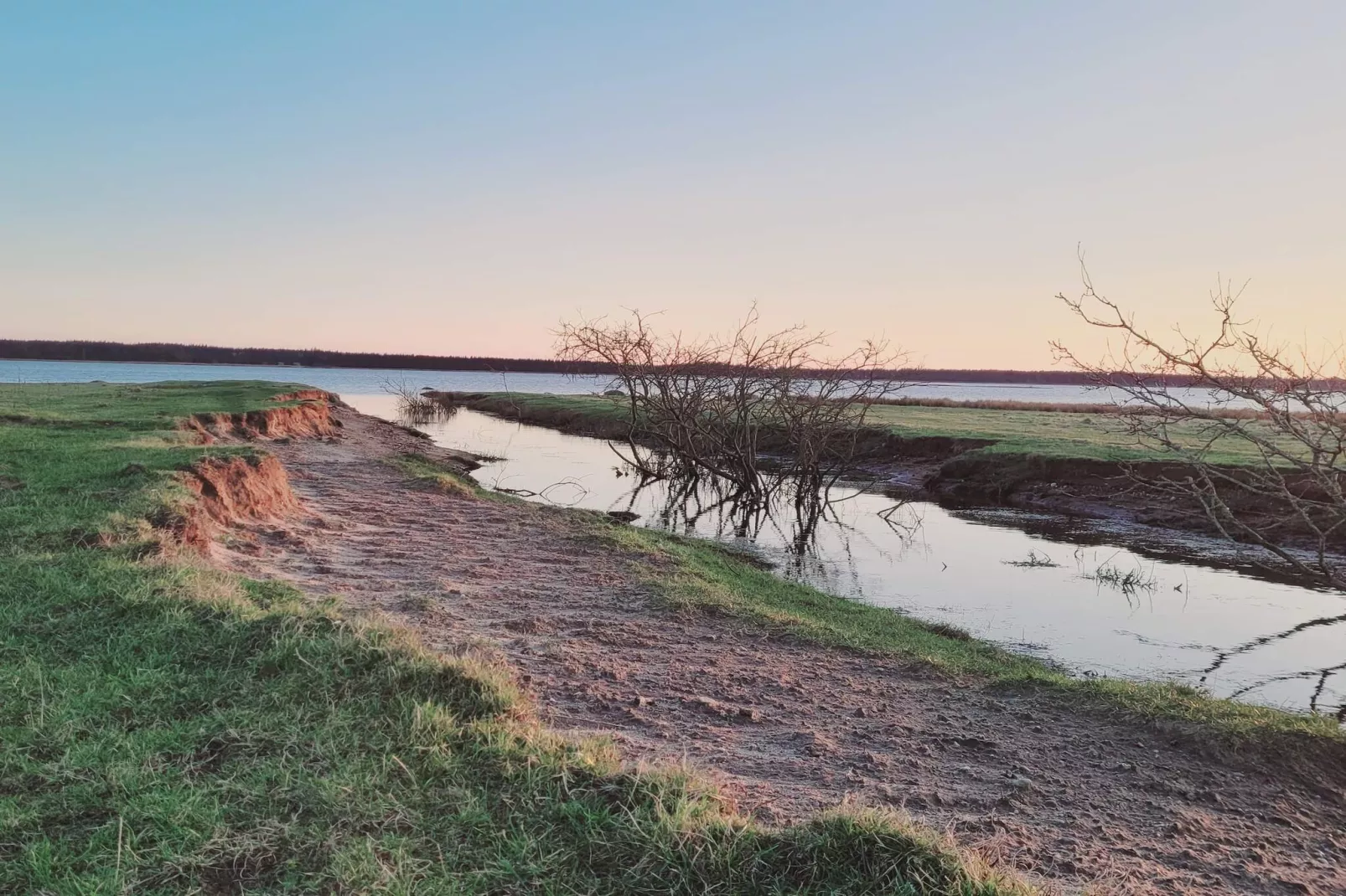Maison de vacances pour 8 a Oksbøl-Vue sur l'eau