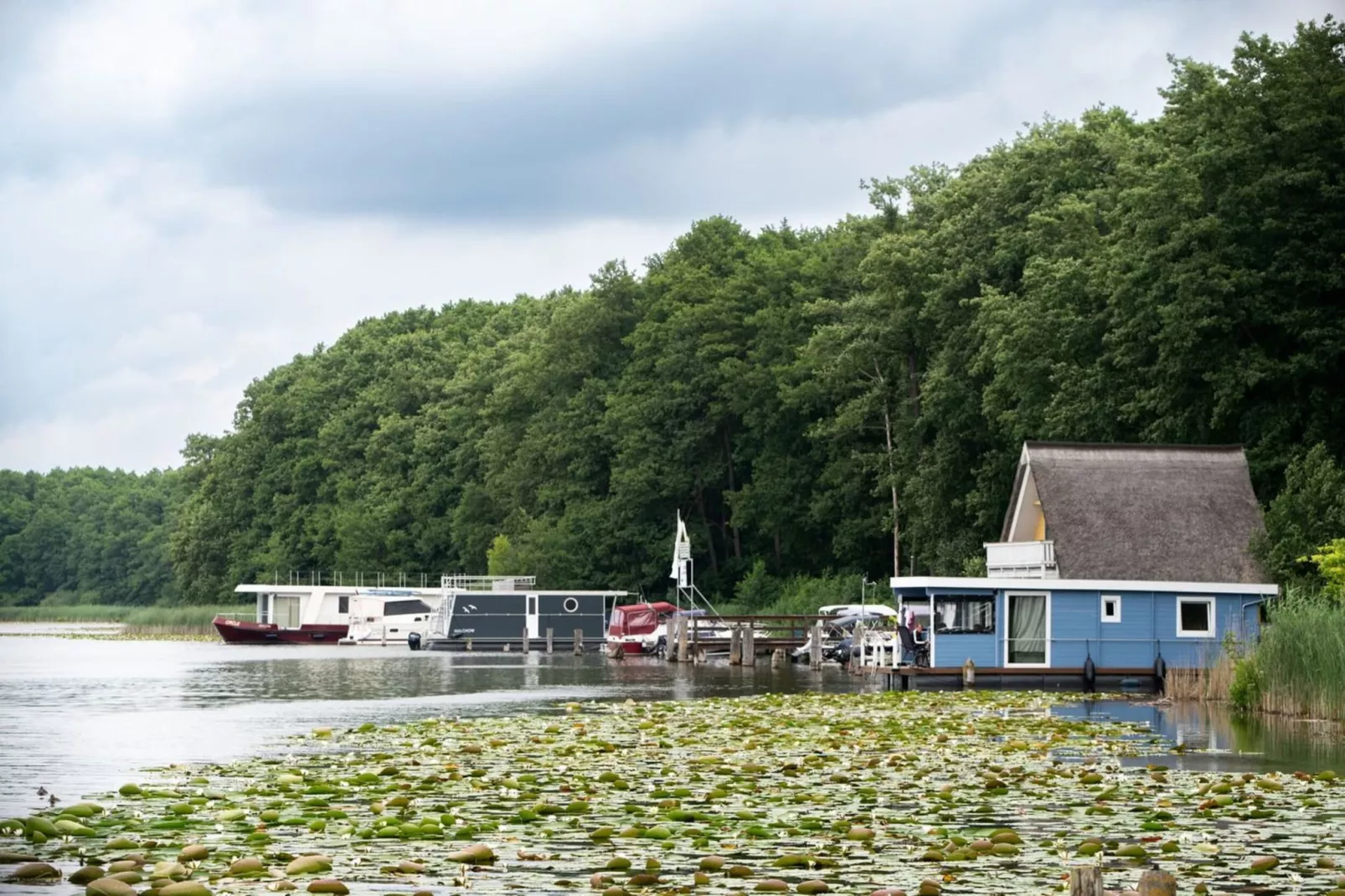 Eisvogel Classic 301-Areas within 1km in summer