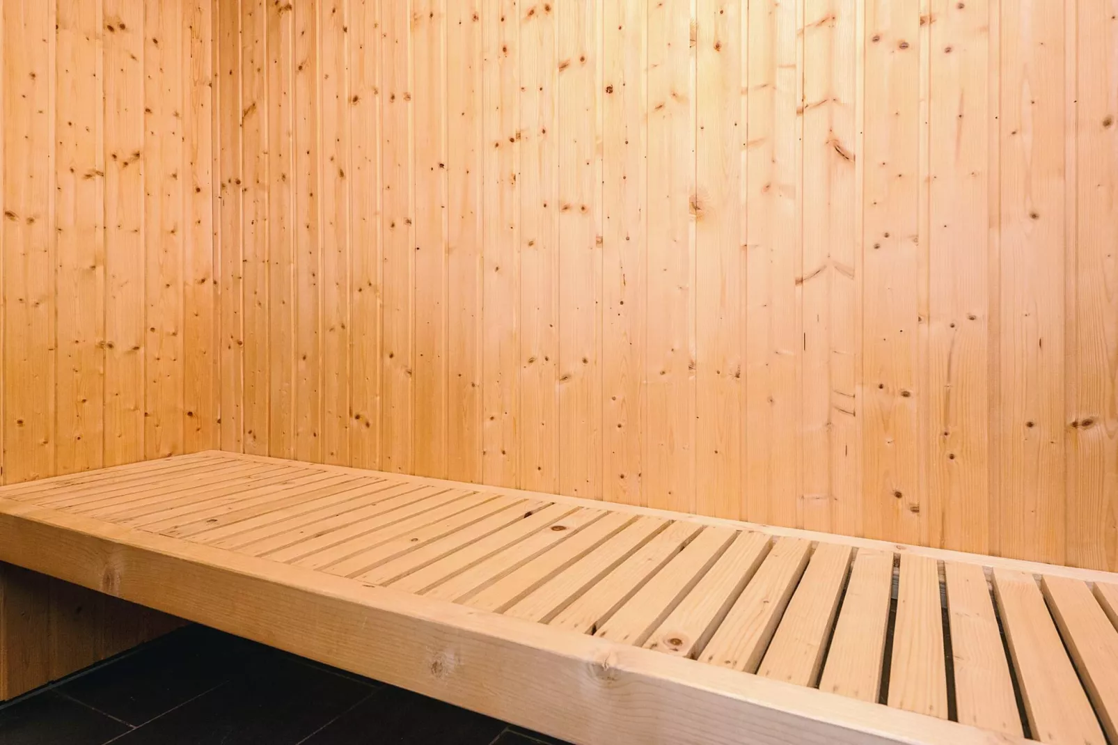 Summer house with wellness area-Sauna