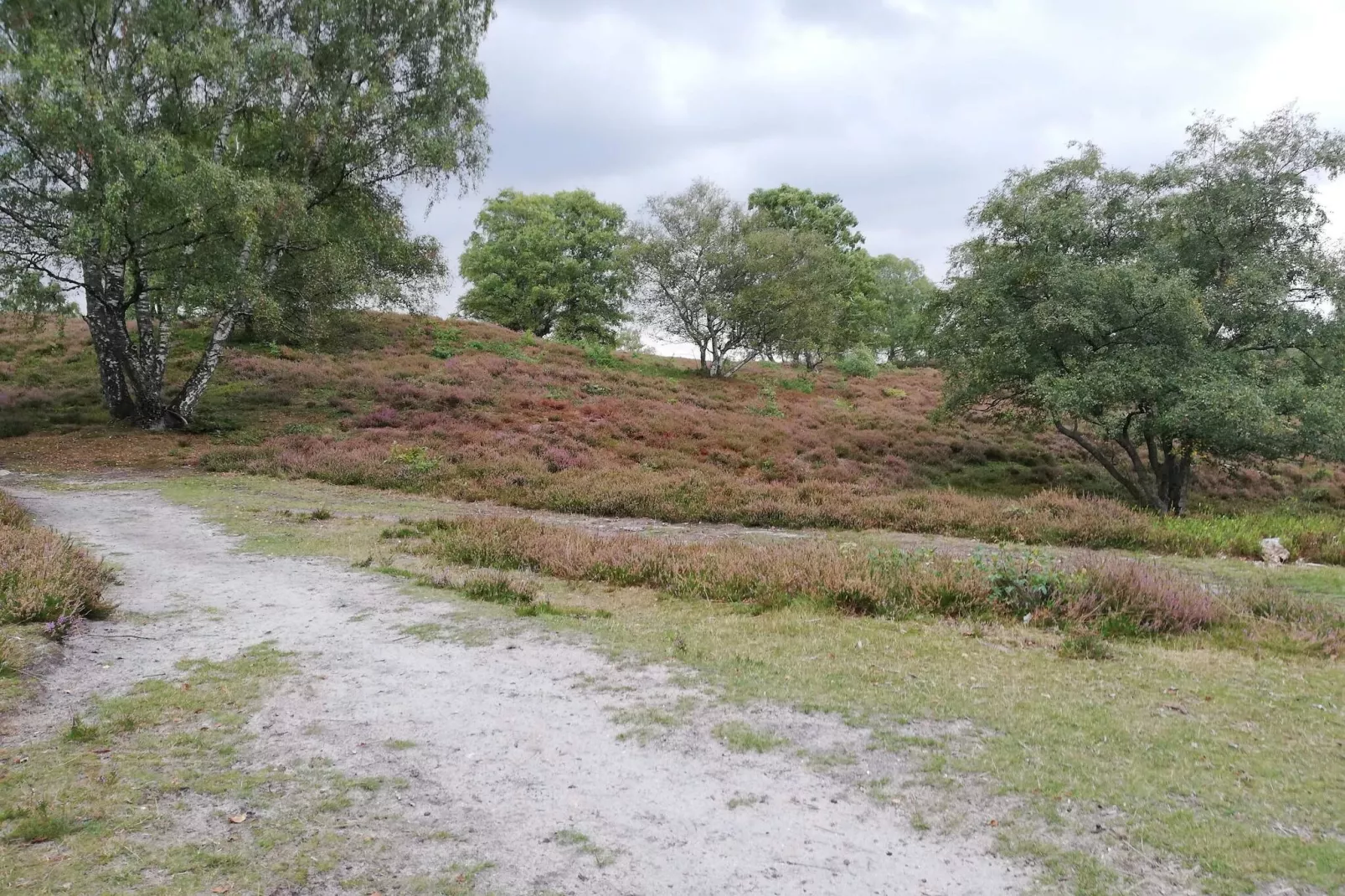 8 person holiday home in Gjern-By Traum