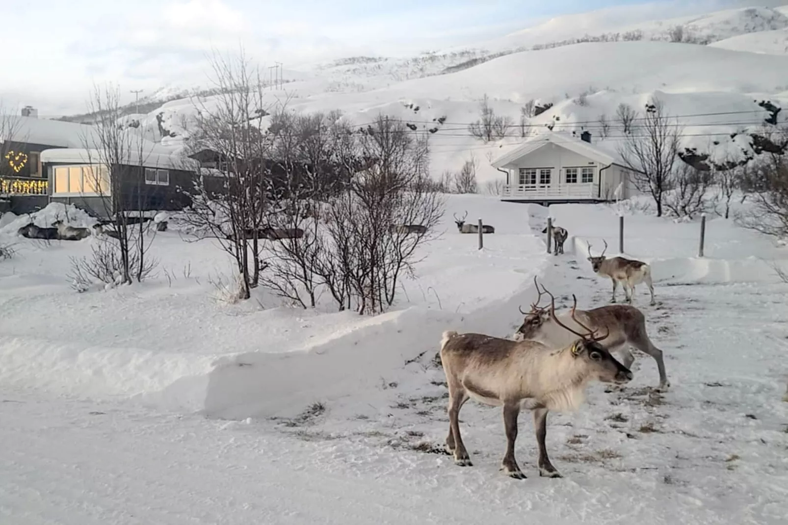 6 Personen Ferienhaus in Rebbenes-Im Freien