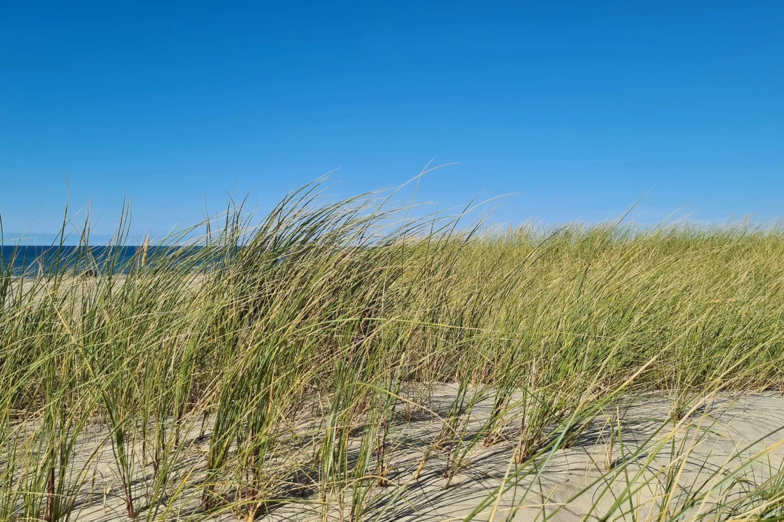 Secluded Beach Retreat in Rodhus-By Traum