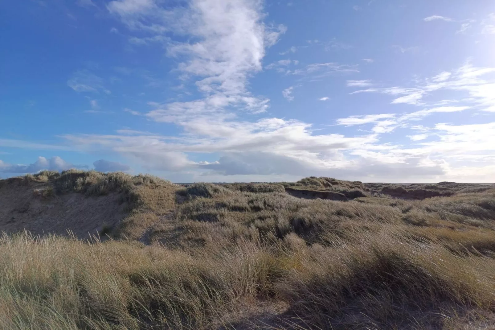 Maison de vacances pour 6 a Rømø-Non tagué