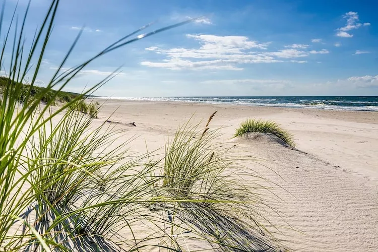 Połowa bliżniaka wakacyjnego w Rowach-Areas within 1km in summer