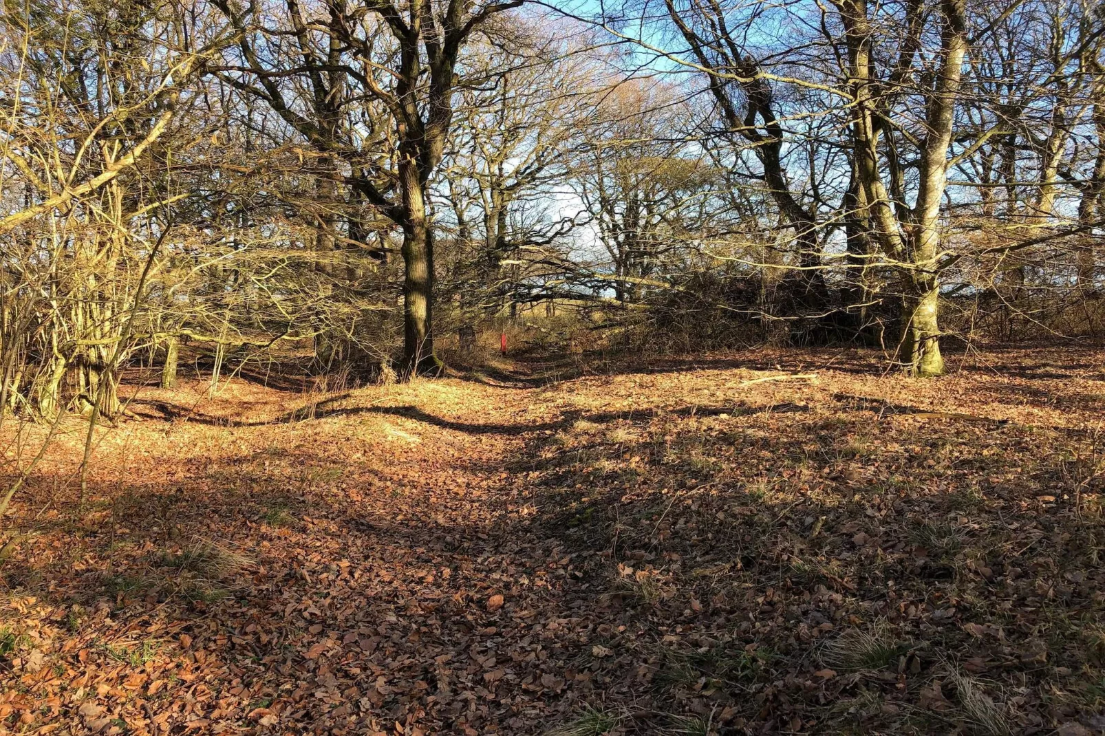 6 person holiday home in Roslev-Untagged