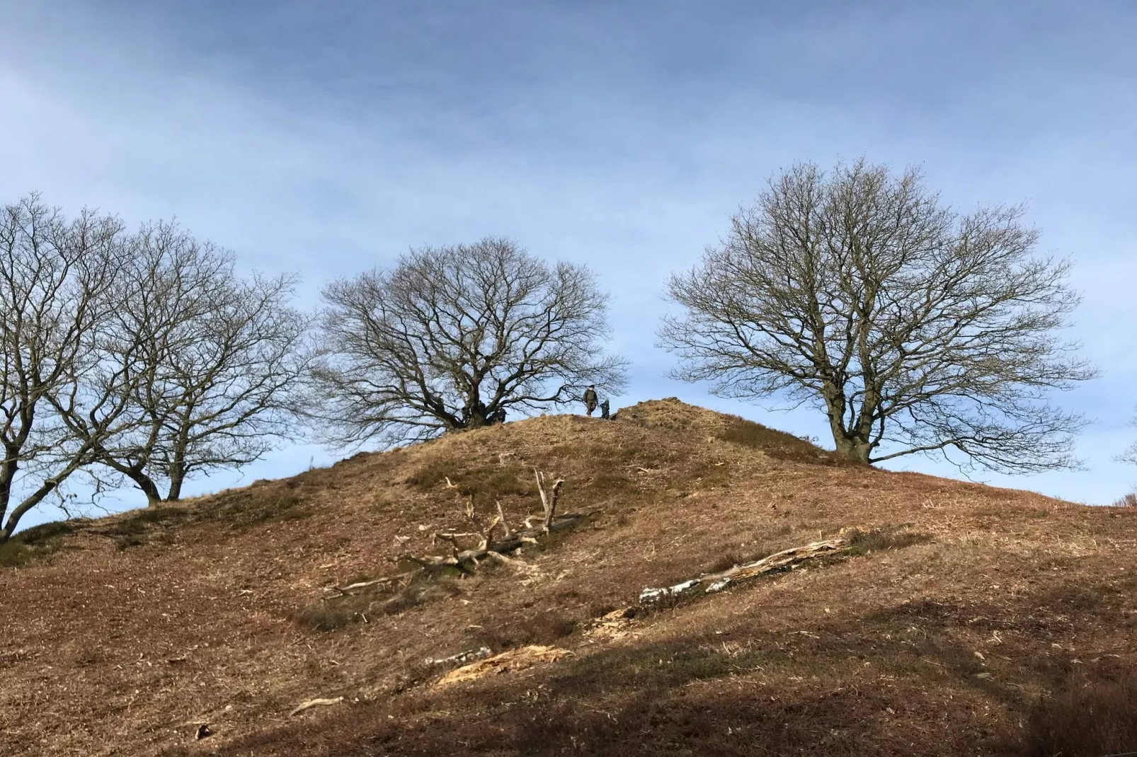 8 person holiday home in Gjern-By Traum-Untagged