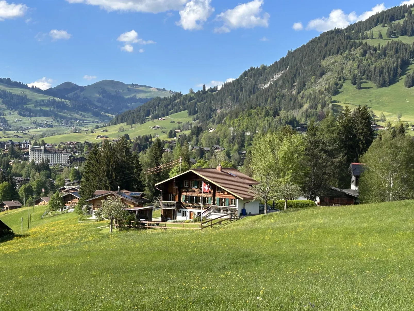 Alpenchalet Haldeli Dachwohnung