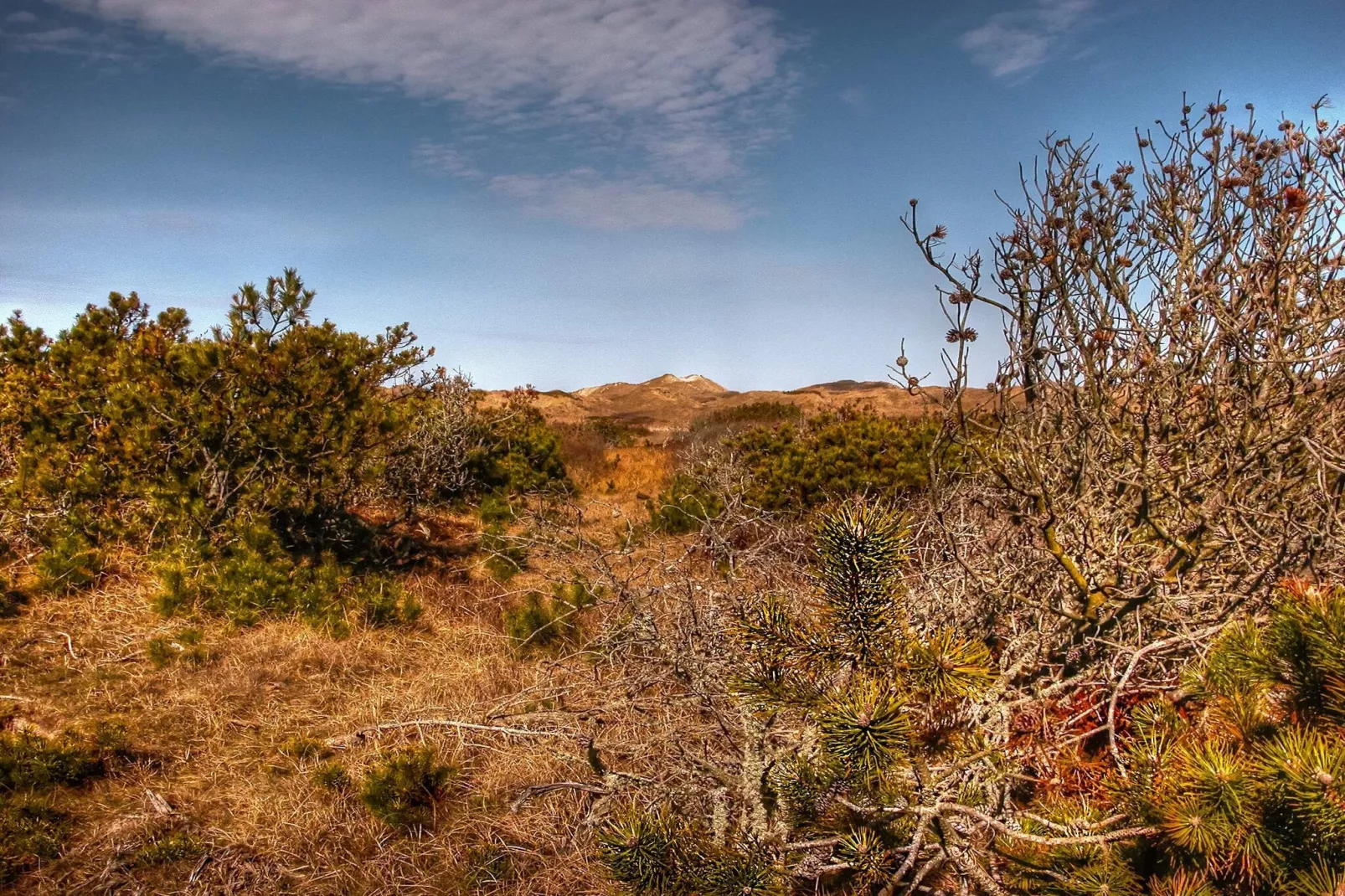 Secluded Beach Retreat in Rodhus-By Traum-Untagged