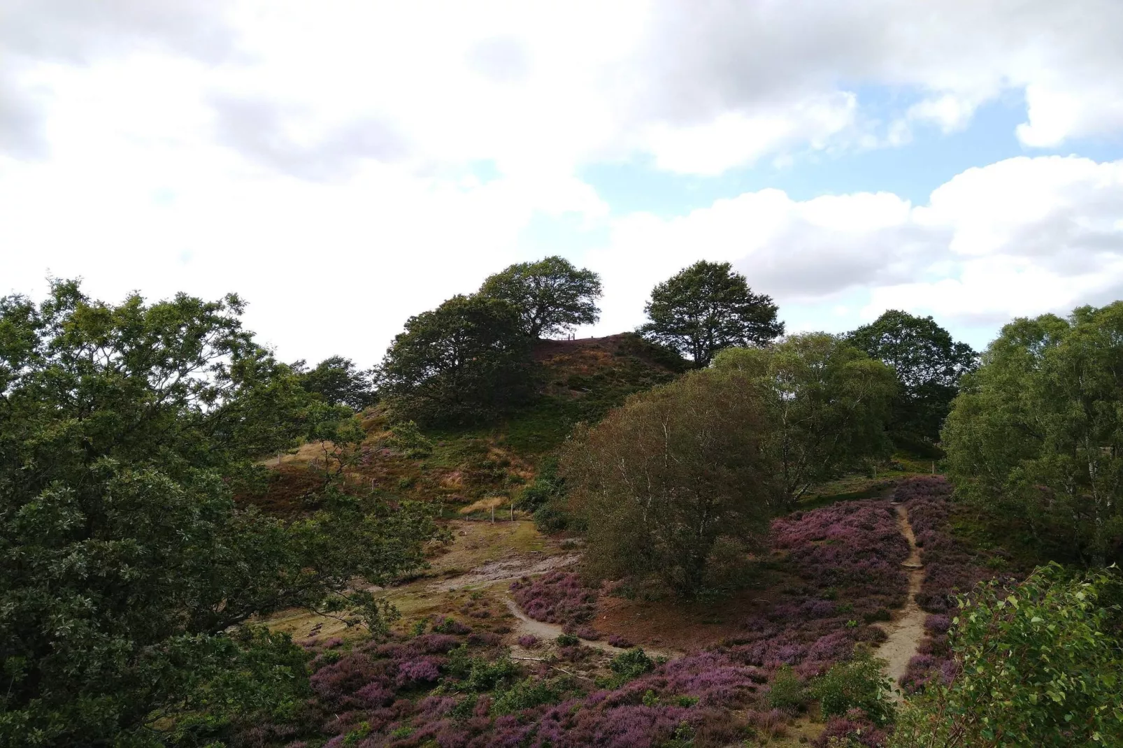 8 person holiday home in Gjern-By Traum-Untagged