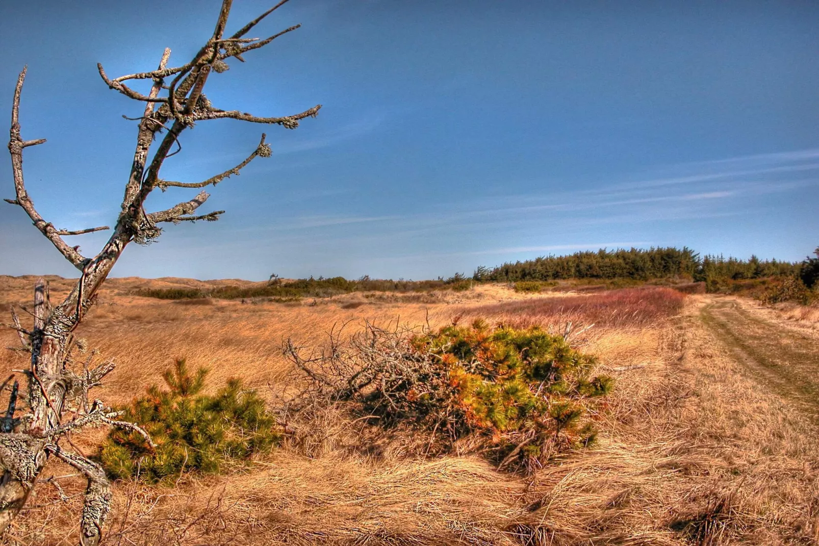 Secluded Beach Retreat in Rodhus-By Traum-Untagged