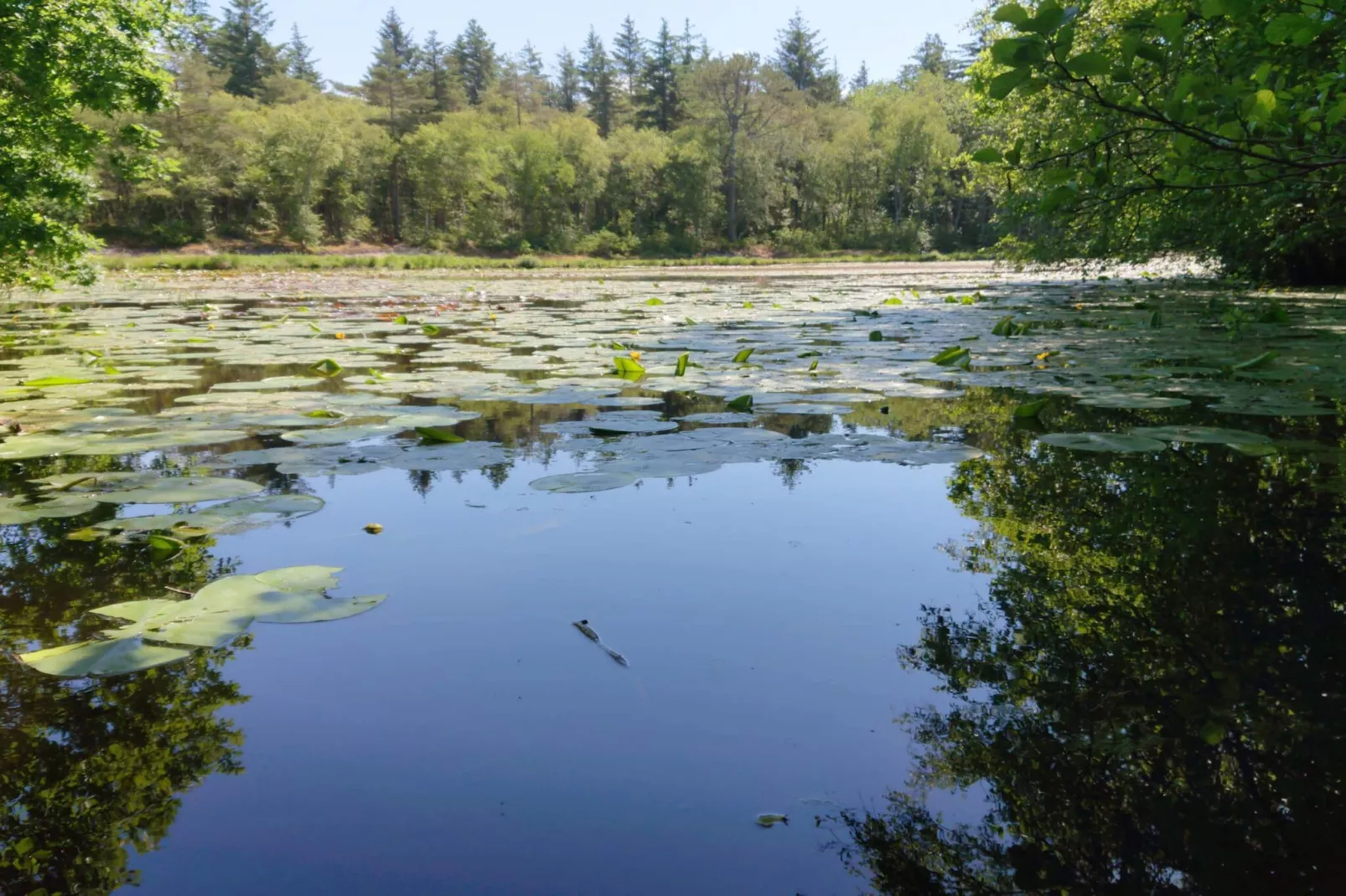 Secluded Pool Retreat - By Traum Ferienwohnungen-Water view