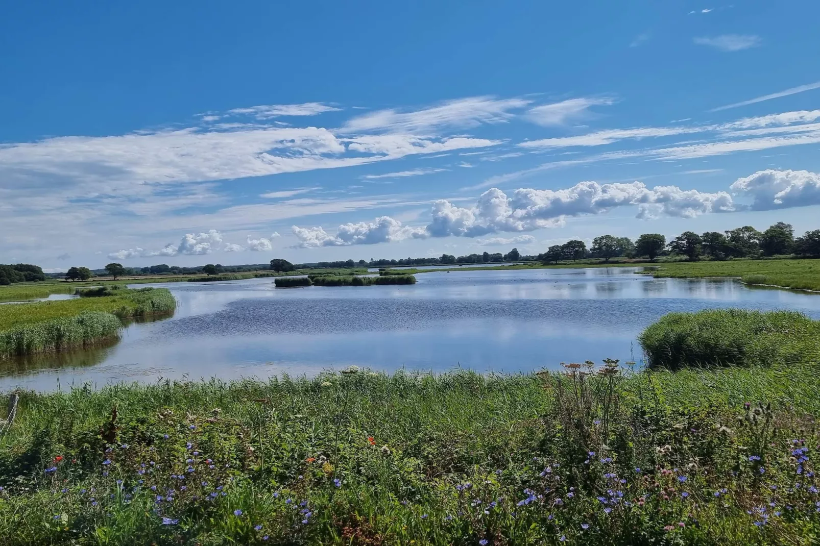 Maison de vacances pour 8 a Svendborg-Vue sur l'eau
