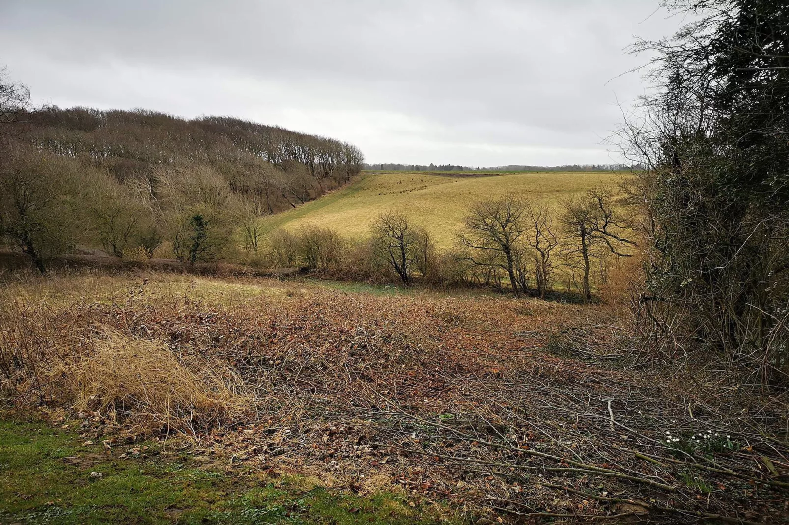 6 person holiday home in Roslev-Untagged