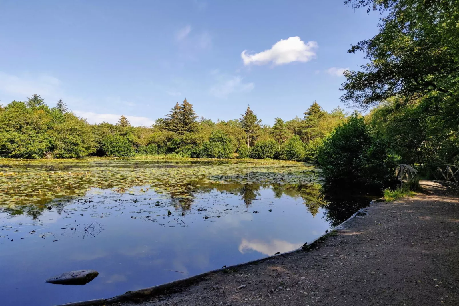 Secluded Pool Retreat - By Traum Ferienwohnungen-Water view