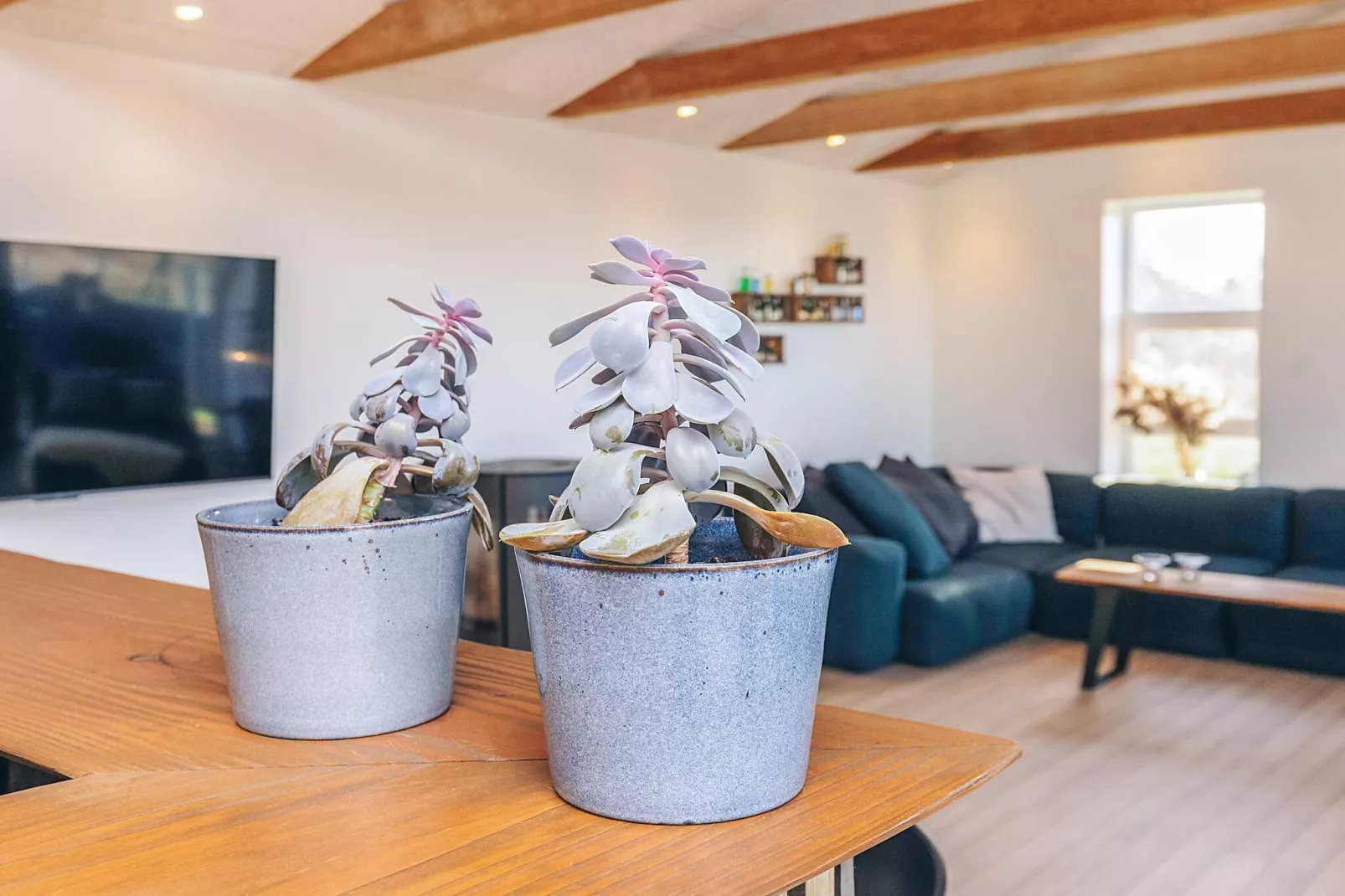 Luxurioses Refugium in Lokken -- By Traum Ferienwohnungen-Innenbereich