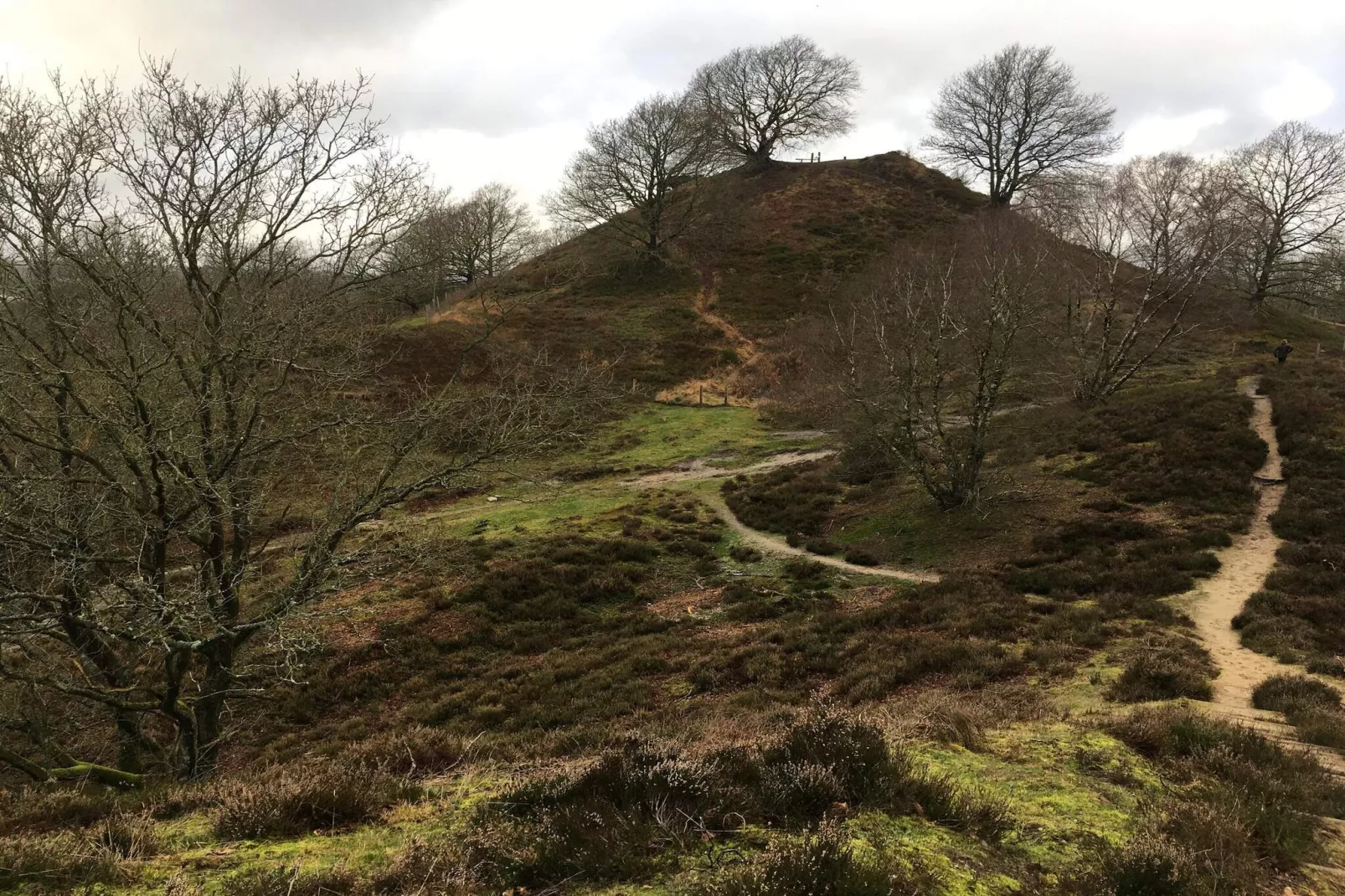 8 person holiday home in Gjern-By Traum-Untagged