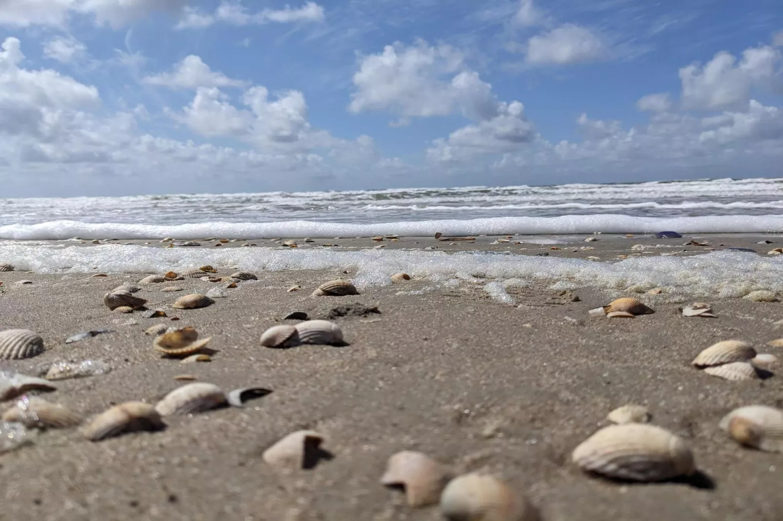 Maison de vacances pour 6 a Rømø-Vue sur l'eau