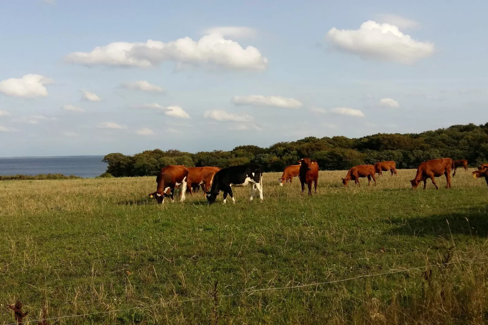 6 person holiday home in Roslev-Untagged