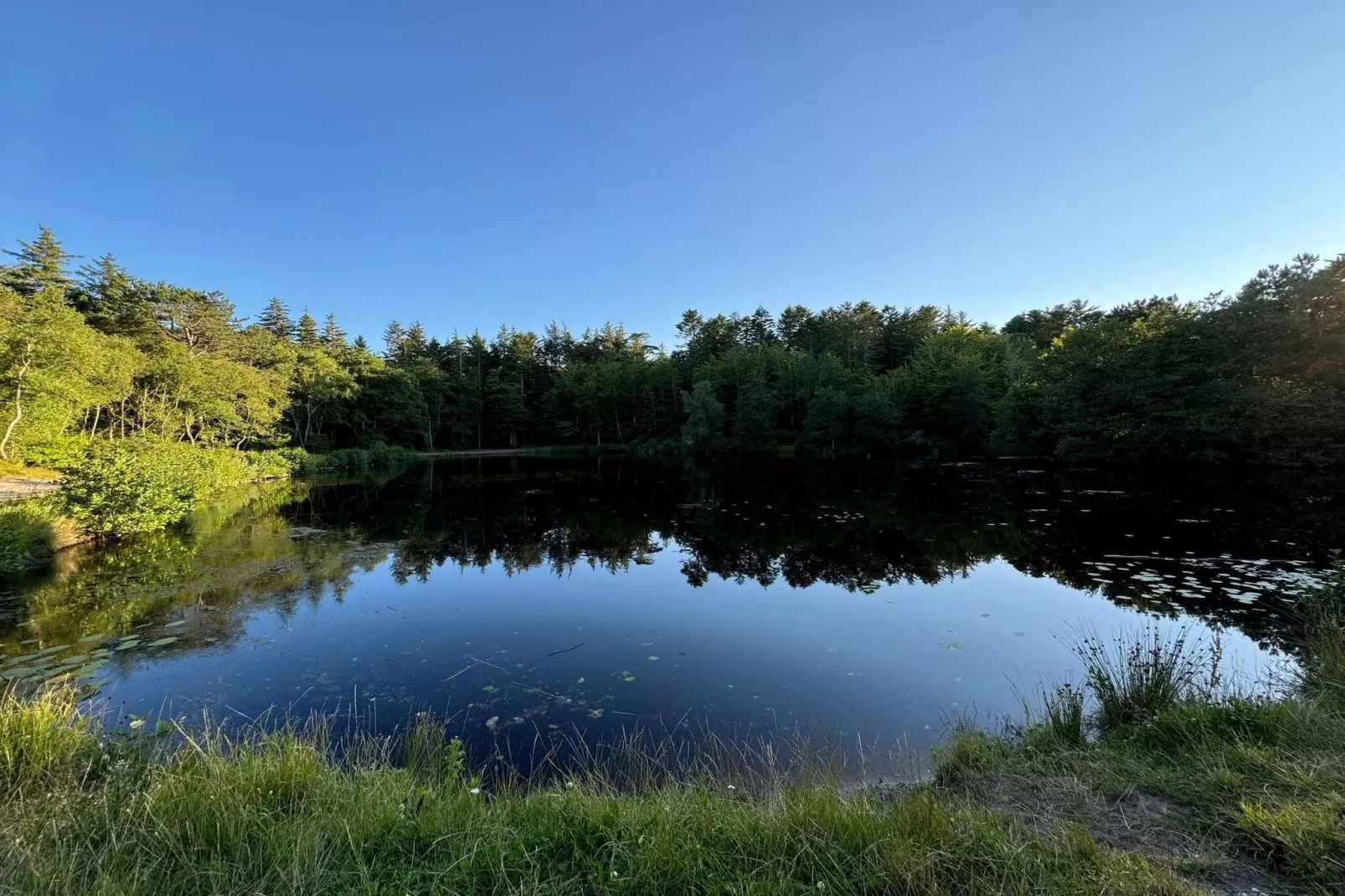 Secluded Pool Retreat - By Traum Ferienwohnungen-Water view