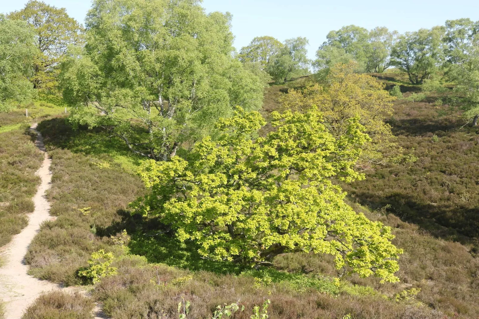 8 person holiday home in Gjern-By Traum-Untagged