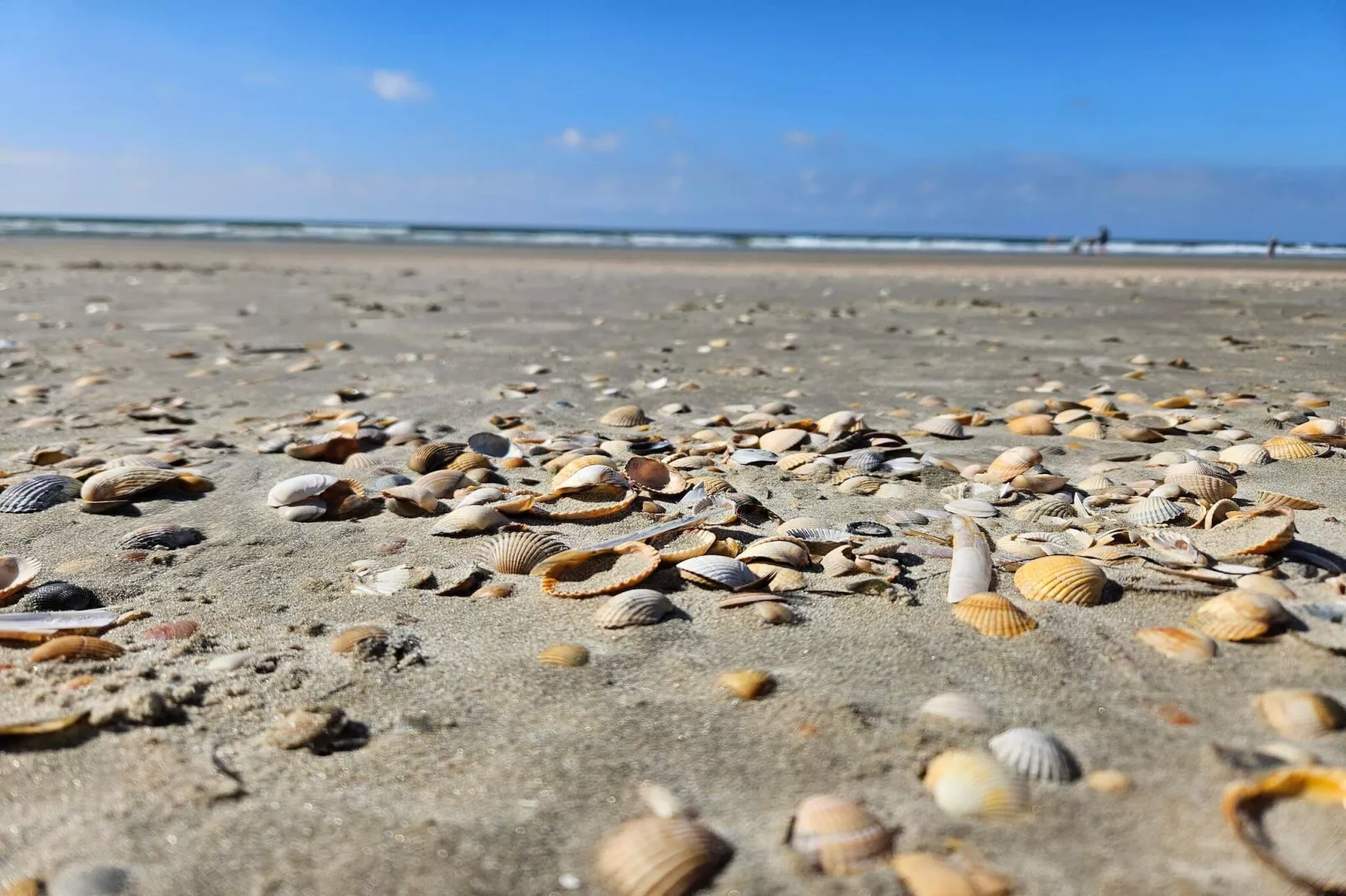 Maison de vacances pour 6 a Rømø-Vue sur l'eau