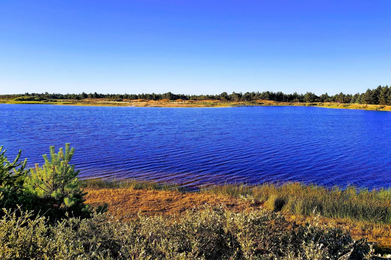 4 Personen Ferienhaus in Vejers Strand-By Traum-Wasserblick