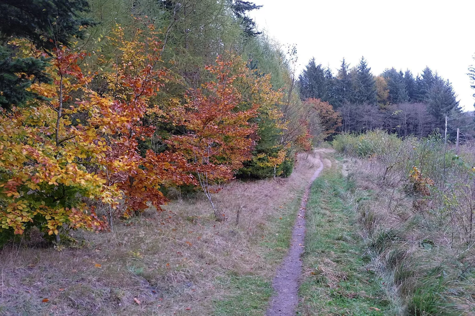 8 person holiday home in Gjern-By Traum-Untagged