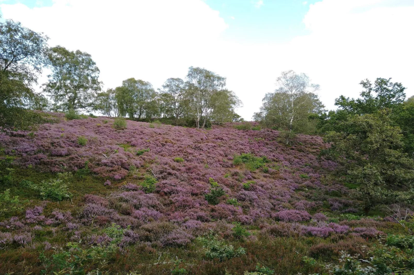 8 person holiday home in Gjern-By Traum-Untagged