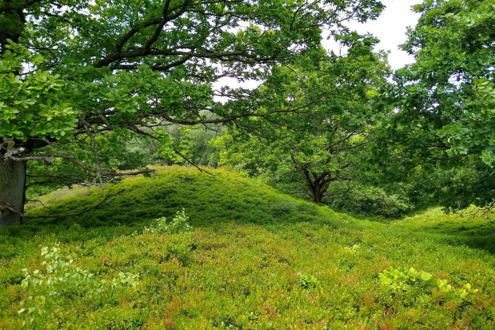 8 person holiday home in Gjern-By Traum-Untagged