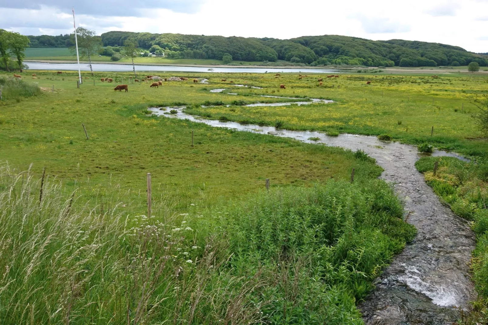 6 person holiday home in Roslev-Water view