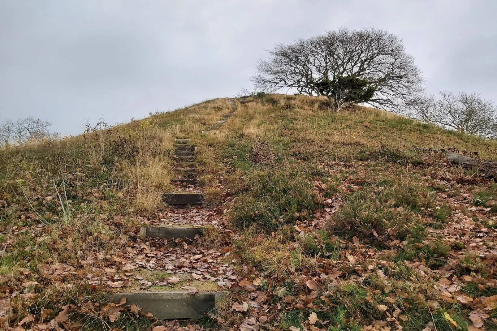 8 person holiday home in Gjern-By Traum-Untagged