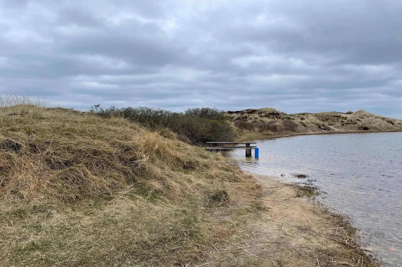 4 Personen Ferienhaus in Vejers Strand-By Traum-Wasserblick
