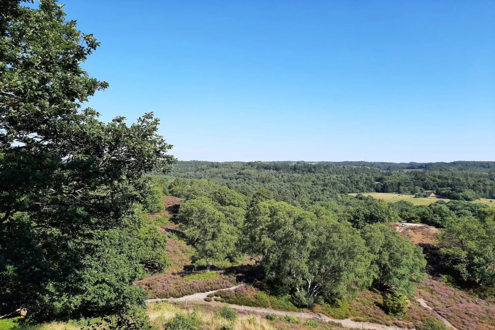 8 person holiday home in Gjern-By Traum-Untagged