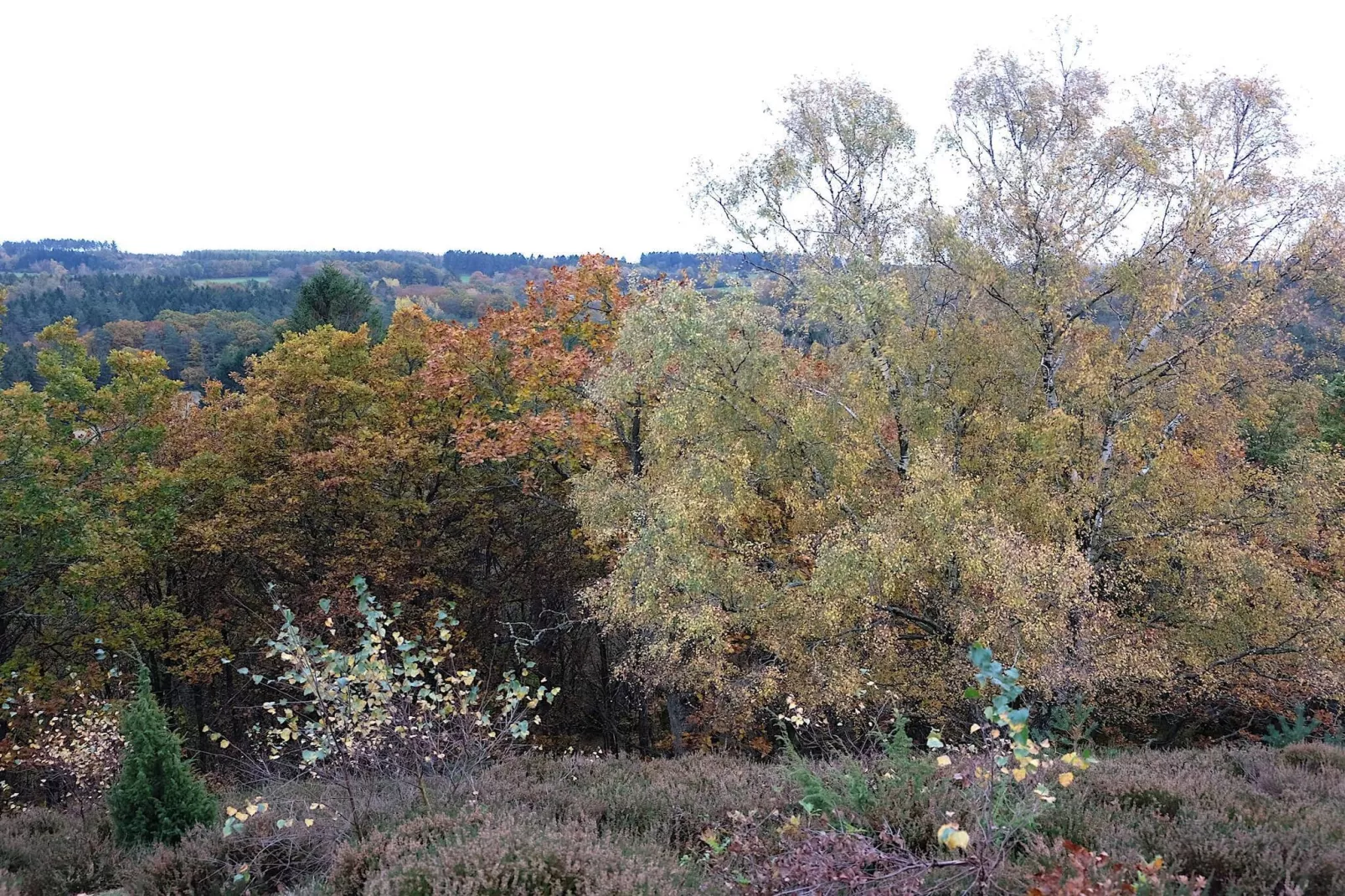 8 person holiday home in Gjern-By Traum-Untagged